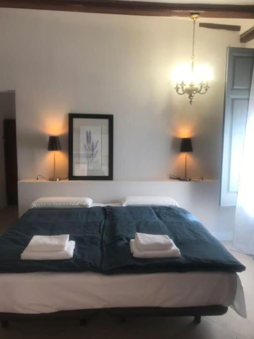Ca Margalef - Casa Rural Con Encanto Ginestar 外观 照片