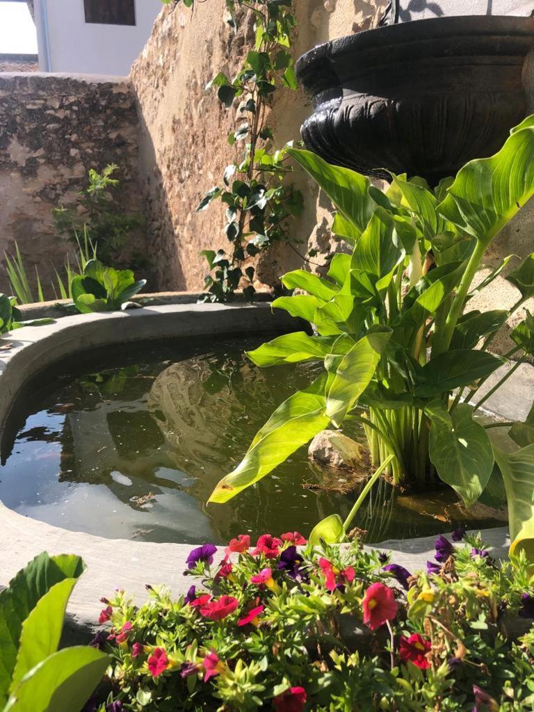 Ca Margalef - Casa Rural Con Encanto Ginestar 外观 照片